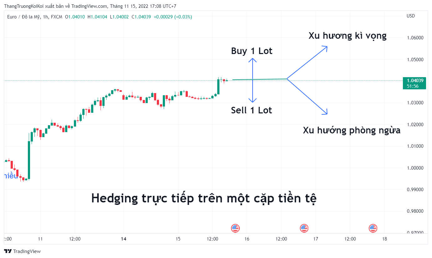 Chiến lược Hedging trực tiếp