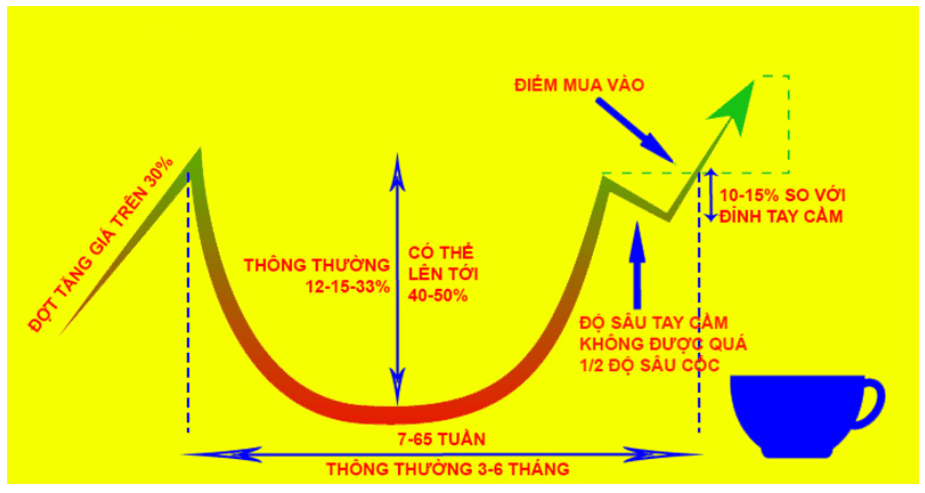 Đặc điểm