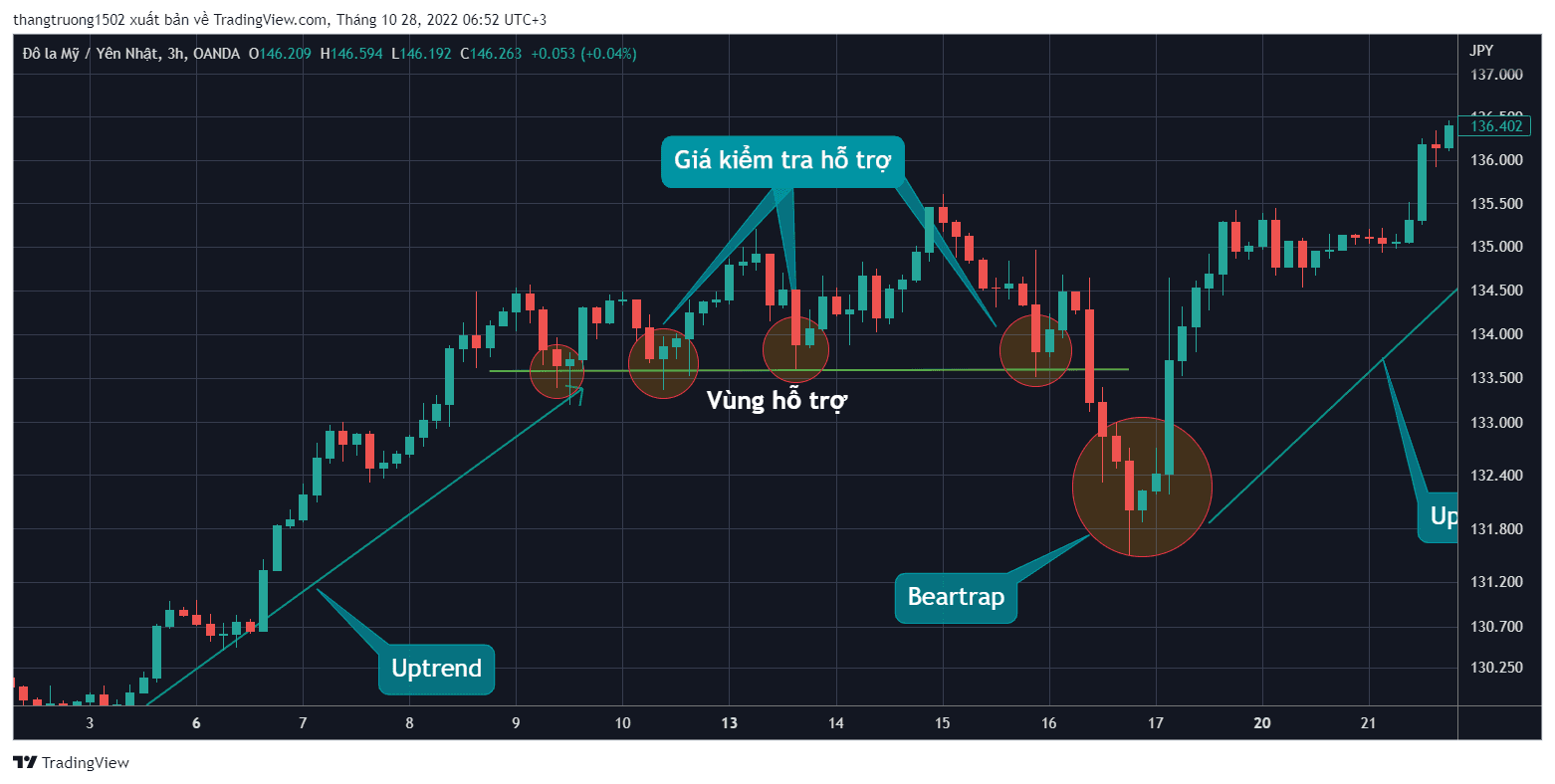 Giá kiểm tra hỗ trợ trong BearTrap