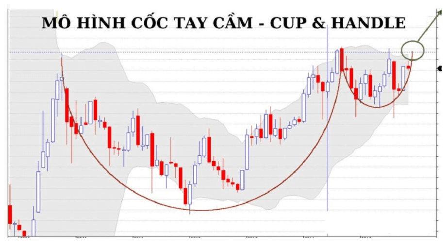 Mô hình cốc tay cầm