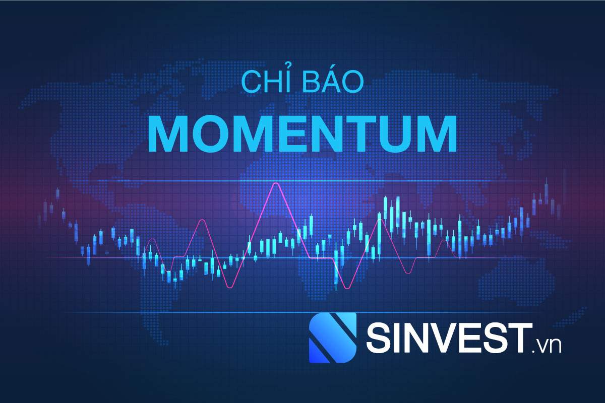 Momentum là gì? Cách dự báo xu hướng thị trường "PHÚT MỐT" với Momentum!