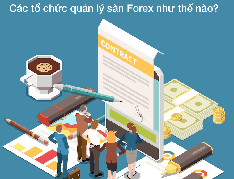 Các tổ chức quản lý sàn Forex như thế nào?