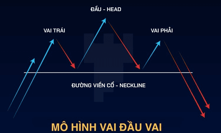 Mô hình VĐV thuận