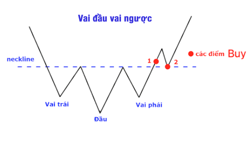 VĐV ngược