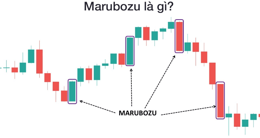 Nến Marubozu là gì?