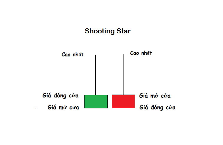 Đặc điểm nhận dạng