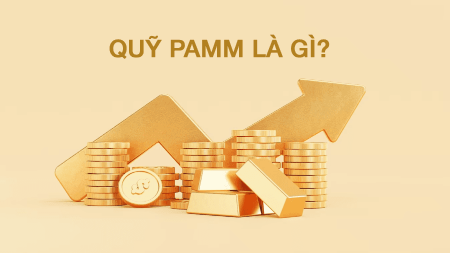 PAMM là gì?