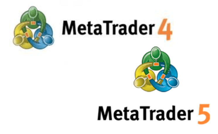 MT4 & MT5
