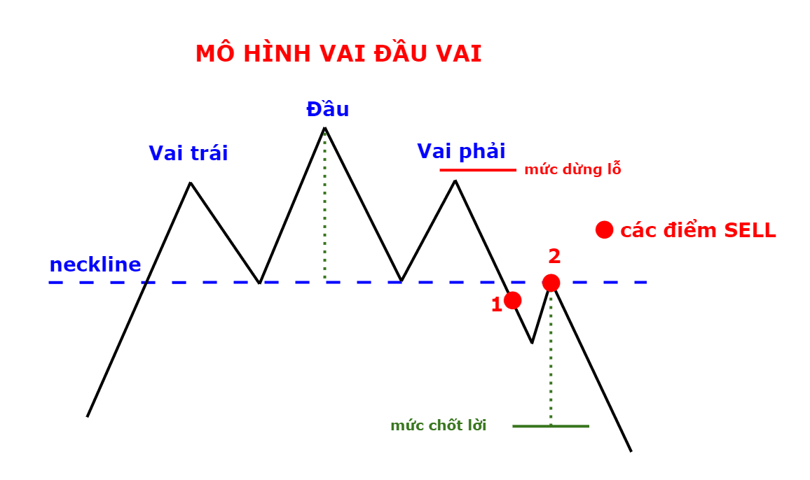 Giao dịch với mô hình VĐV