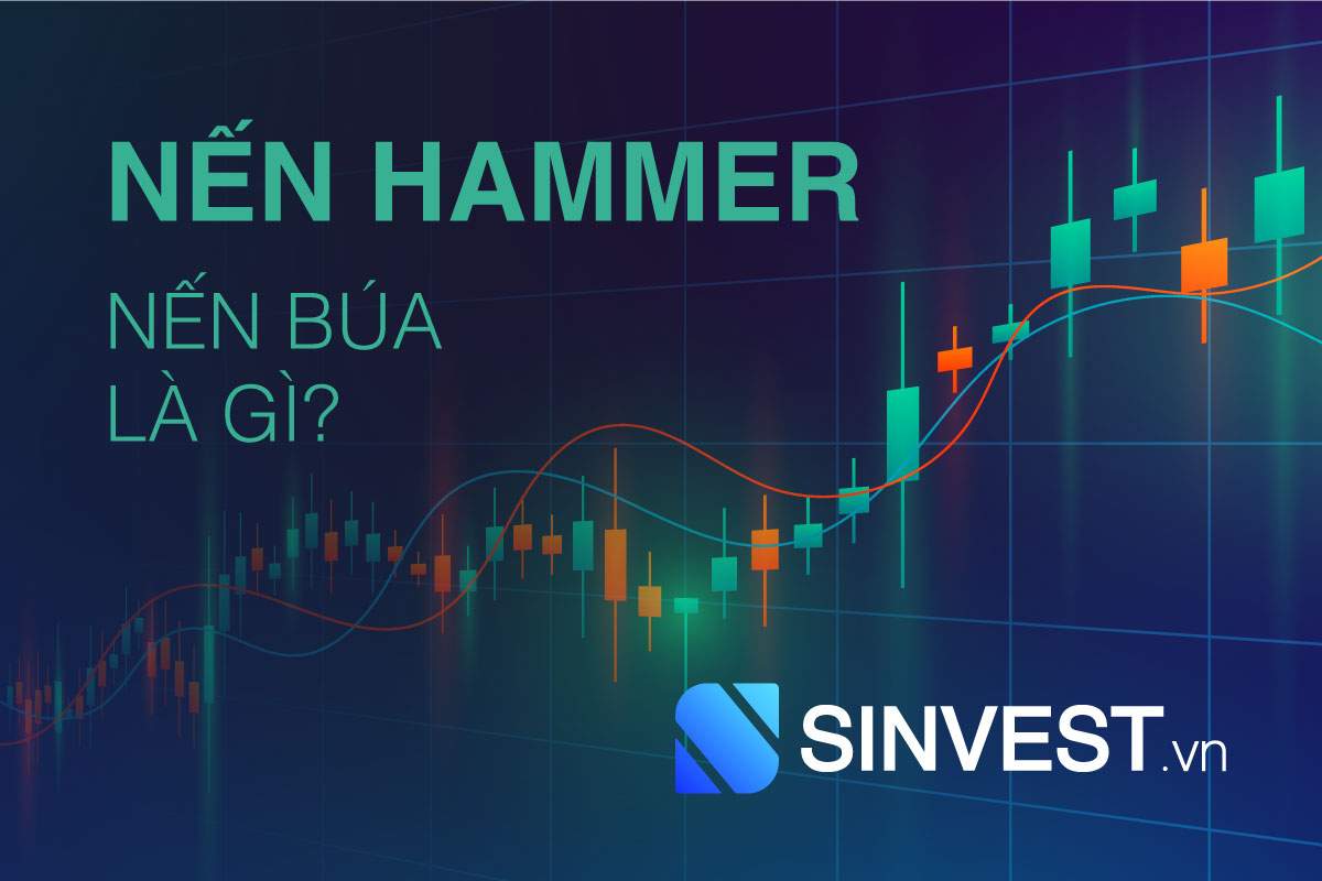 Nến Hammer là gì? Tuyệt chiêu sử dụng "Cây Búa" trong giao dịch