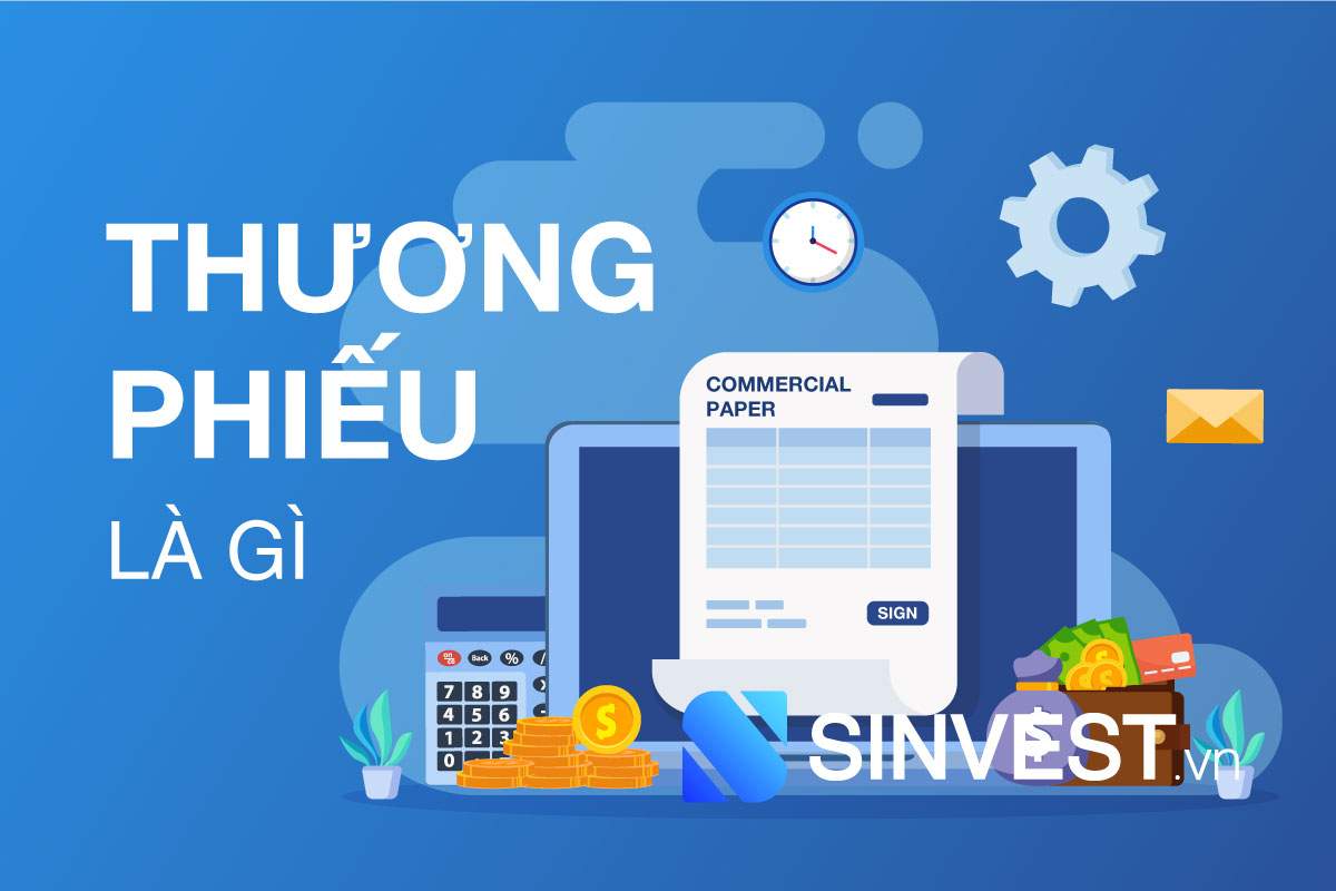 Thương phiếu là gì? Những gì bạn cần biết về thương phiếu