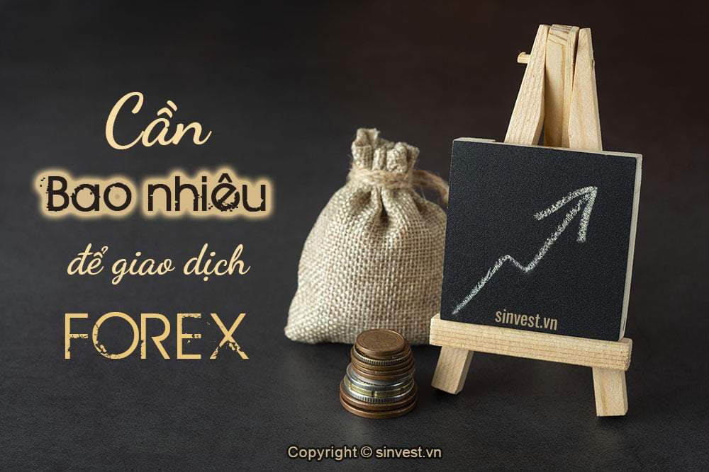 Tôi cần bao nhiêu tiền để giao dịch Forex