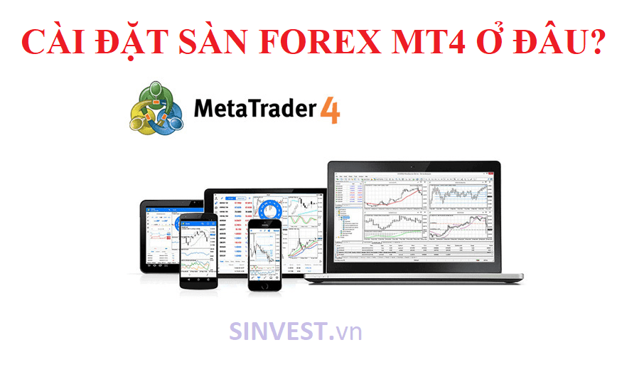 Cài đặt sàn Forex MT4 ở đâu?